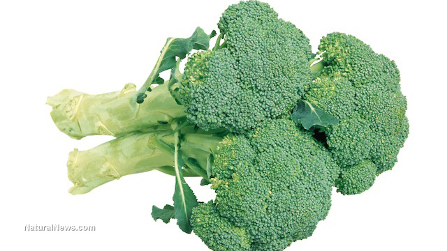 Broccoli-On-White