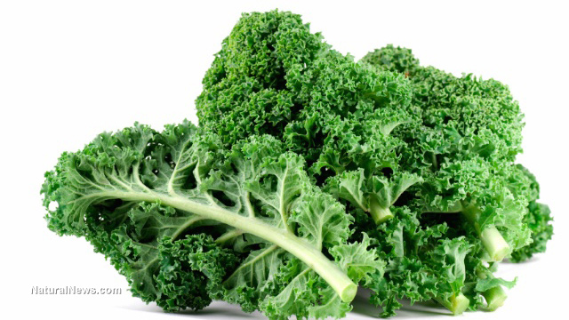 Kale-Vegetables