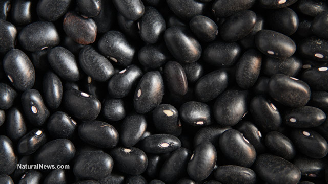 Black-Beans-Bulk