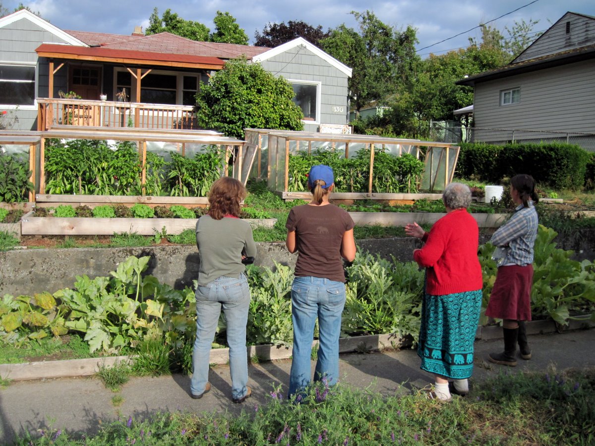 yard-garden-plot-homesteading
