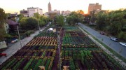 Michigan-Urban-Farming-Initiative-Garden-1020x610