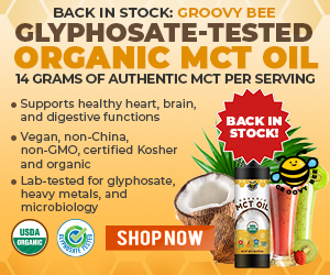 Leafy Greens And Ckd Follow A Plant Based Diet To Lower